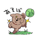 チャイプーとシロプー（個別スタンプ：5）