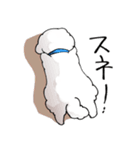 チャイプーとシロプー（個別スタンプ：10）