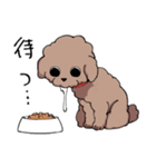 チャイプーとシロプー（個別スタンプ：11）