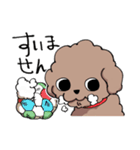 チャイプーとシロプー（個別スタンプ：13）