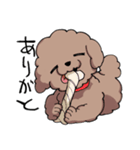 チャイプーとシロプー（個別スタンプ：21）
