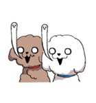 チャイプーとシロプー（個別スタンプ：29）