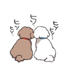 チャイプーとシロプー（個別スタンプ：33）