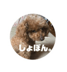 mocoの1日 その4（個別スタンプ：2）