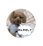 mocoの1日 その4（個別スタンプ：7）