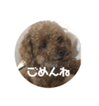 mocoの1日 その4（個別スタンプ：8）