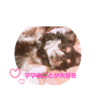 かわいいはおちゃんスタンプ（個別スタンプ：2）