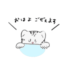 豹猫 まる（個別スタンプ：5）