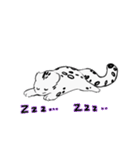豹猫 まる（個別スタンプ：12）
