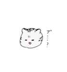 豹猫 まる（個別スタンプ：26）