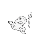 豹猫 まる（個別スタンプ：30）