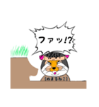 マヌルネコならぬ！ヌマル(埋まる)ネコ！！（個別スタンプ：12）
