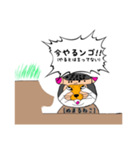 マヌルネコならぬ！ヌマル(埋まる)ネコ！！（個別スタンプ：13）