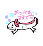 ウーパールーパーのちょん（個別スタンプ：2）