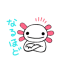 ウーパールーパーのちょん（個別スタンプ：11）