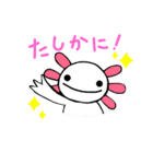 ウーパールーパーのちょん（個別スタンプ：12）