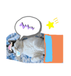 ももたとひらめ（個別スタンプ：3）