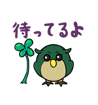 新フクロウさん（個別スタンプ：20）