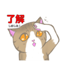 まゆたま すたんぷ（個別スタンプ：1）