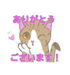 まゆたま すたんぷ（個別スタンプ：3）