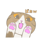 まゆたま すたんぷ（個別スタンプ：4）