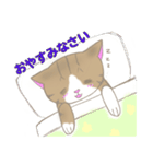 まゆたま すたんぷ（個別スタンプ：8）