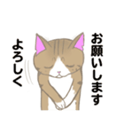 まゆたま すたんぷ（個別スタンプ：10）