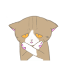 まゆたま すたんぷ（個別スタンプ：15）