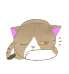 まゆたま すたんぷ（個別スタンプ：16）