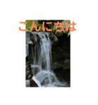 こころ休まる花と風景(8)（個別スタンプ：2）