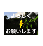 こころ休まる花と風景(8)（個別スタンプ：8）
