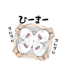 コメダさんと夏（個別スタンプ：24）