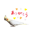 まさはる＆まめろースタンプ（個別スタンプ：8）