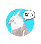 Happy Birb 2（個別スタンプ：14）