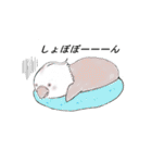 Happy Birb 2（個別スタンプ：16）