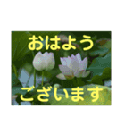 こころ休まる花と風景(9)（個別スタンプ：2）