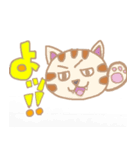 日常的に使える癒しネコさん（個別スタンプ：1）