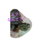 かめきちさん（個別スタンプ：6）