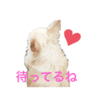 初めてのれんくんスタンプ（個別スタンプ：4）