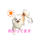 初めてのれんくんスタンプ（個別スタンプ：5）