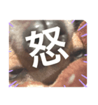 ベアちゃんです！！2（個別スタンプ：8）