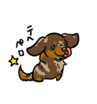 獣医さんが作ったLINEスタンプ（個別スタンプ：4）