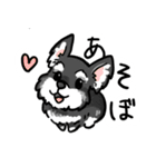 獣医さんが作ったLINEスタンプ（個別スタンプ：12）