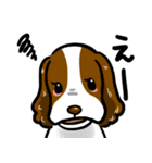 獣医さんが作ったLINEスタンプ（個別スタンプ：13）