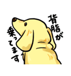 獣医さんが作ったLINEスタンプ（個別スタンプ：23）