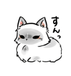 獣医さんが作ったLINEスタンプ（個別スタンプ：26）