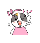 スコティッシュお嬢（個別スタンプ：3）