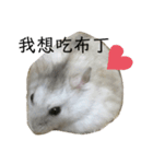倉鼠的家（個別スタンプ：4）