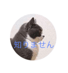 もふこスタンプ（個別スタンプ：5）