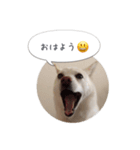 おしゃべりカレン（個別スタンプ：3）